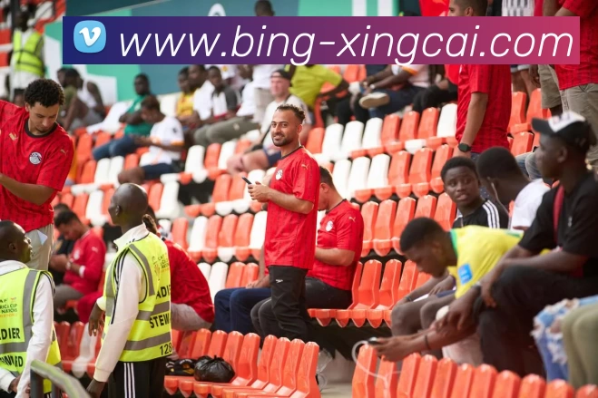 App Interface Preview