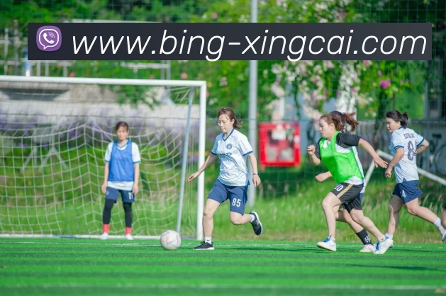 杏彩娱乐APP 封面图